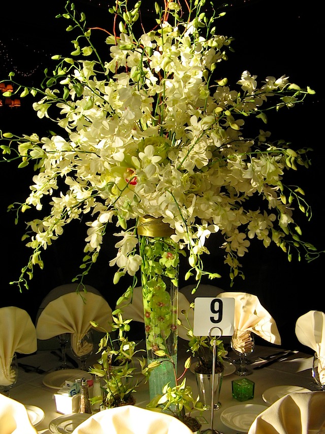 DISK8_E (25)